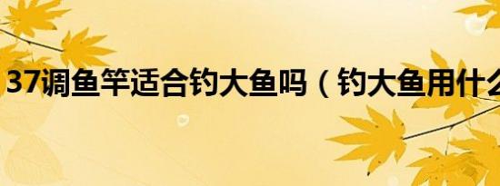37调鱼竿适合钓大鱼吗（钓大鱼用什么鱼竿）
