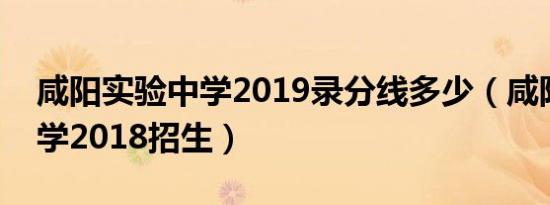 咸阳实验中学2019录分线多少（咸阳实验中学2018招生）