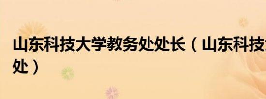 山东科技大学教务处处长（山东科技大学教务处）