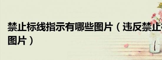 禁止标线指示有哪些图片（违反禁止标线指示图片）