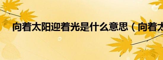 向着太阳迎着光是什么意思（向着太阳）
