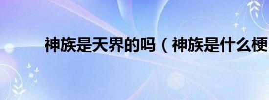 神族是天界的吗（神族是什么梗）