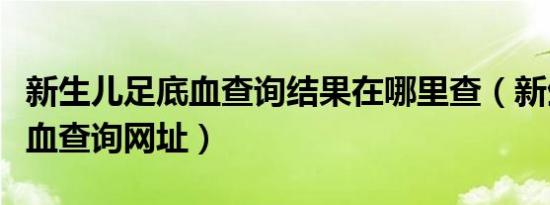 新生儿足底血查询结果在哪里查（新生儿足底血查询网址）
