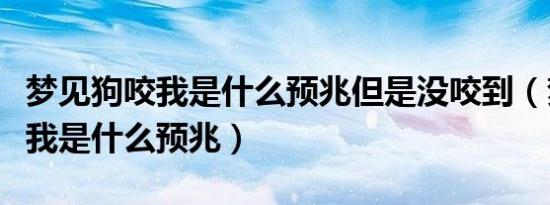 梦见狗咬我是什么预兆但是没咬到（梦见狗咬我是什么预兆）