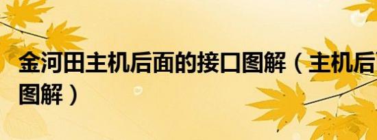 金河田主机后面的接口图解（主机后面的接口图解）