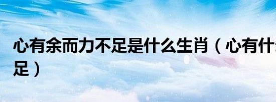 心有余而力不足是什么生肖（心有什么而力不足）