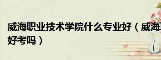 威海职业技术学院什么专业好（威海职业学院好考吗）