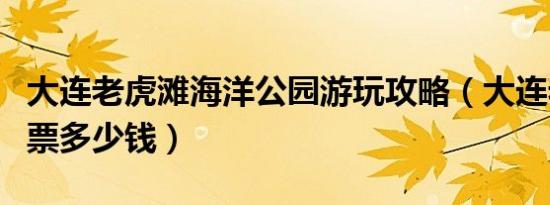 大连老虎滩海洋公园游玩攻略（大连老虎滩门票多少钱）