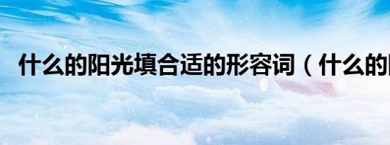 什么的阳光填合适的形容词（什么的阳光）