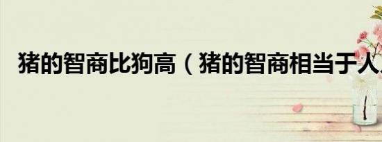 猪的智商比狗高（猪的智商相当于人几岁）