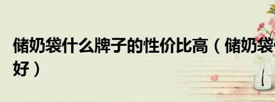 储奶袋什么牌子的性价比高（储奶袋什么牌子好）