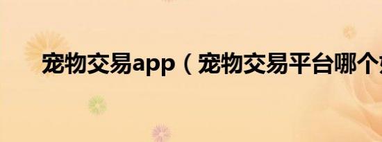 宠物交易app（宠物交易平台哪个好）