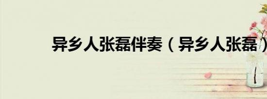 异乡人张磊伴奏（异乡人张磊）