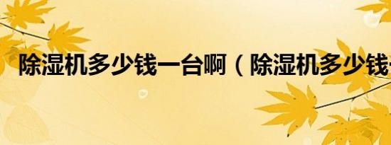 除湿机多少钱一台啊（除湿机多少钱一台）