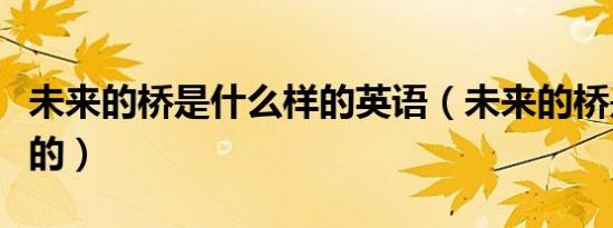 未来的桥是什么样的英语（未来的桥是什么样的）