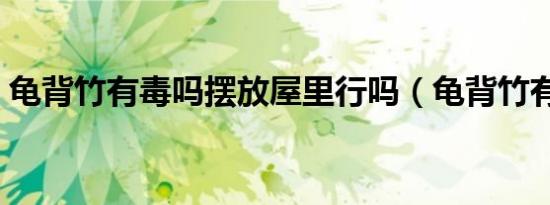 龟背竹有毒吗摆放屋里行吗（龟背竹有毒吗）