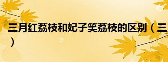 三月红荔枝和妃子笑荔枝的区别（三月红荔枝）