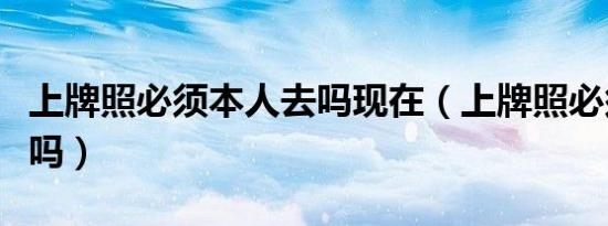 上牌照必须本人去吗现在（上牌照必须本人去吗）