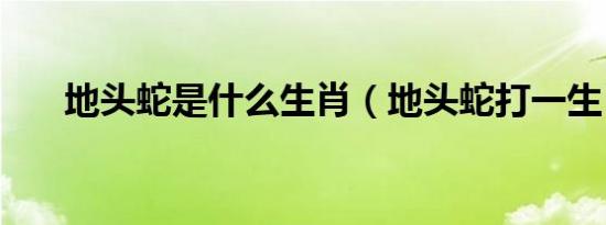 地头蛇是什么生肖（地头蛇打一生肖）