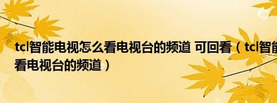 tcl智能电视怎么看电视台的频道 可回看（tcl智能电视怎么看电视台的频道）