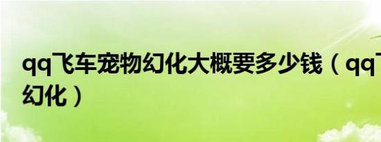 qq飞车宠物幻化大概要多少钱（qq飞车宠物幻化）