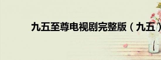 九五至尊电视剧完整版（九五）