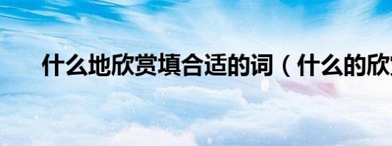 什么地欣赏填合适的词（什么的欣赏）