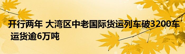 开行两年 大湾区中老国际货运列车破3200车 运货逾6万吨