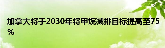 加拿大将于2030年将甲烷减排目标提高至75%