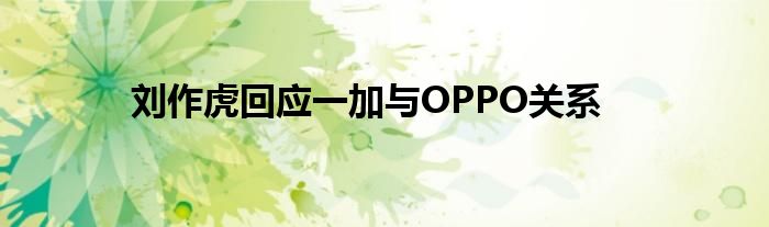 刘作虎回应一加与OPPO关系