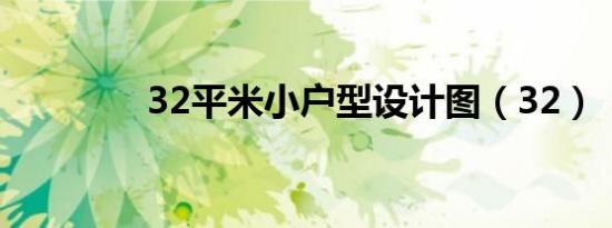32平米小户型设计图（32）