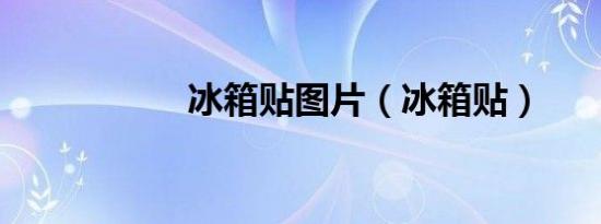 冰箱贴图片（冰箱贴）