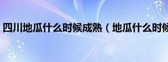 四川地瓜什么时候成熟（地瓜什么时候成熟）