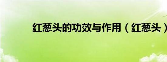 红葱头的功效与作用（红葱头）