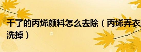 干了的丙烯颜料怎么去除（丙烯弄衣服上怎么洗掉）