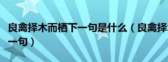 良禽择木而栖下一句是什么（良禽择木而栖下一句）
