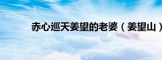 赤心巡天姜望的老婆（姜望山）