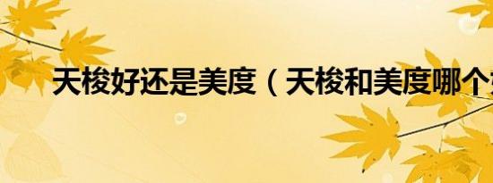 天梭好还是美度（天梭和美度哪个好）