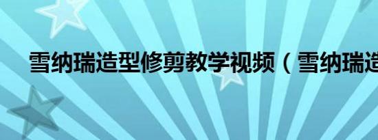 雪纳瑞造型修剪教学视频（雪纳瑞造型）