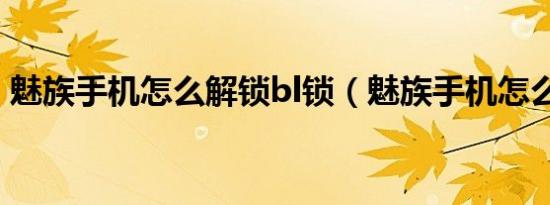 魅族手机怎么解锁bl锁（魅族手机怎么解锁）