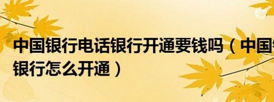 中国银行电话银行开通要钱吗（中国银行电话银行怎么开通）