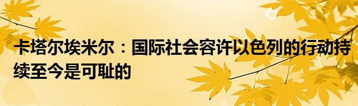 卡塔尔埃米尔：国际社会容许以色列的行动持续至今是可耻的