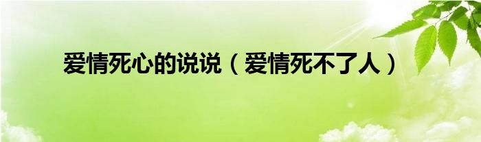 爱情死心的说说（爱情死不了人）