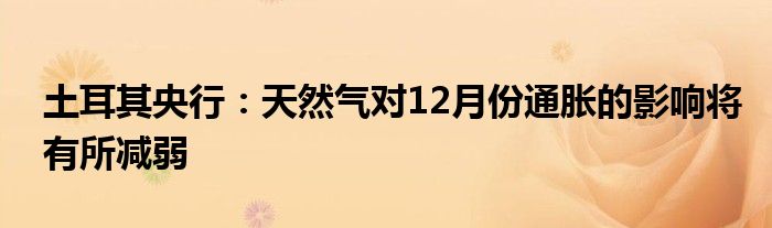 土耳其央行：天然气对12月份通胀的影响将有所减弱