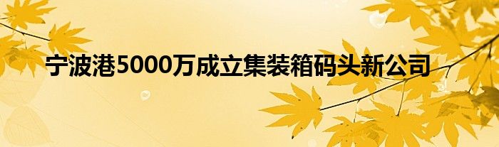 宁波港5000万成立集装箱码头新公司