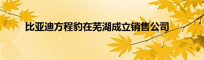 比亚迪方程豹在芜湖成立销售公司