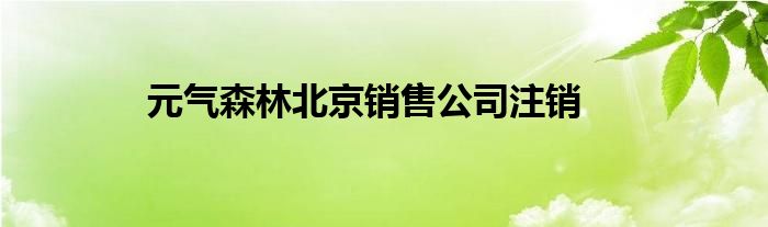 元气森林北京销售公司注销