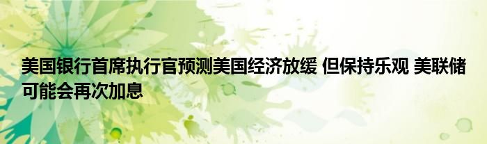 美国银行首席执行官预测美国经济放缓 但保持乐观 美联储可能会再次加息