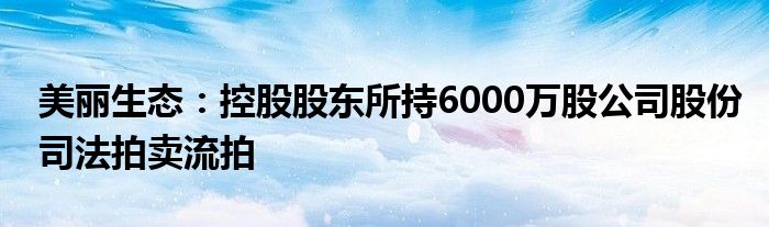 美丽生态：控股股东所持6000万股公司股份司法拍卖流拍