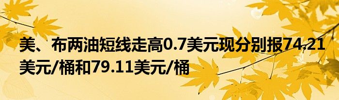 美、布两油短线走高0.7美元现分别报74.21美元/桶和79.11美元/桶